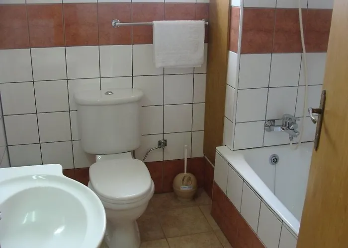 Aphelandra Ayia Napa