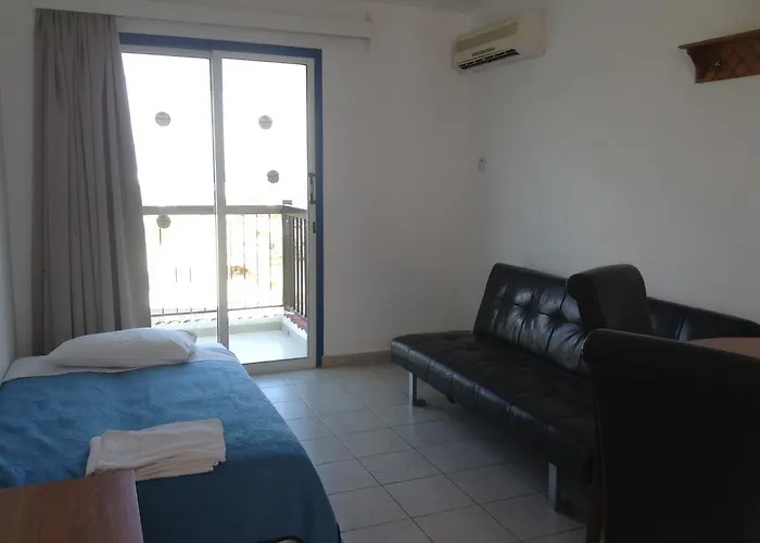 Aphelandra Ayia Napa