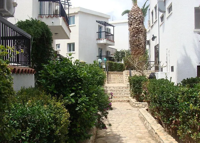 Aphelandra 2* Ayia Napa