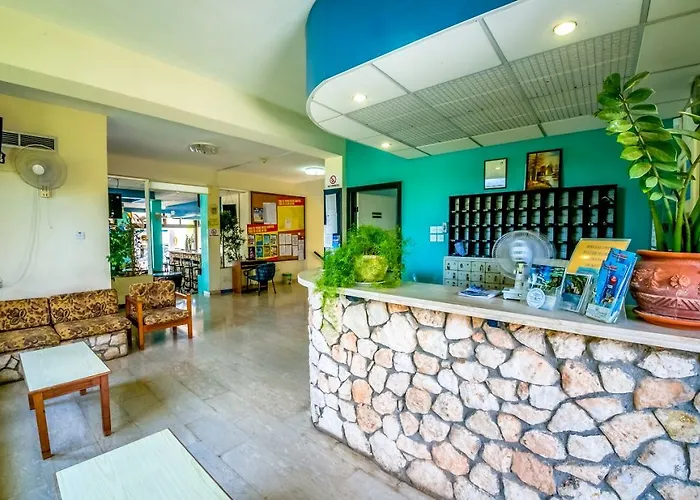 Aphelandra Ayia Napa