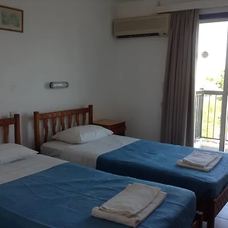 Aphelandra Ayia Napa