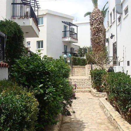 Aphelandra 2* Ayia Napa