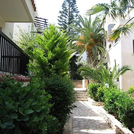 Aphelandra 2* Ayia Napa