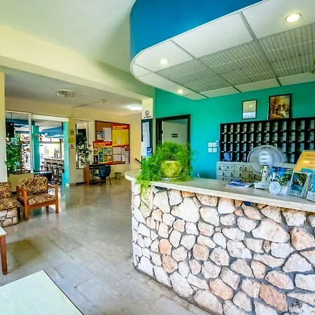 Aphelandra Ayia Napa