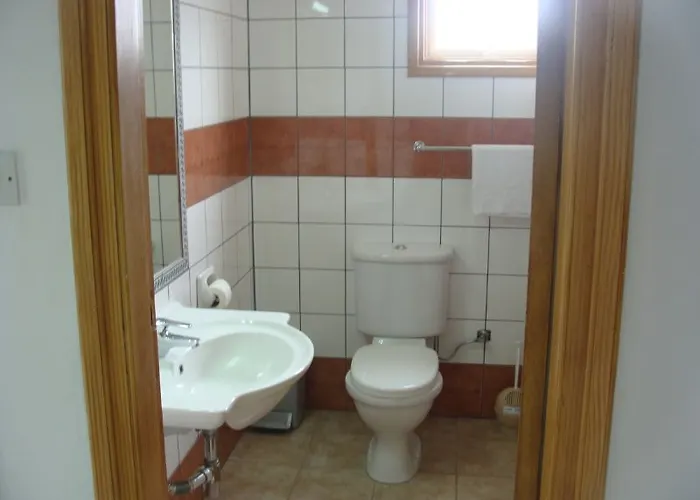 Aphelandra Ayia Napa