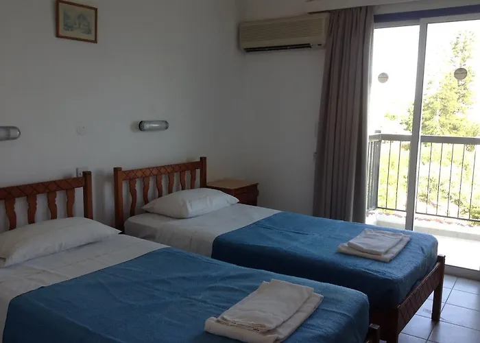 Aphelandra Ayia Napa