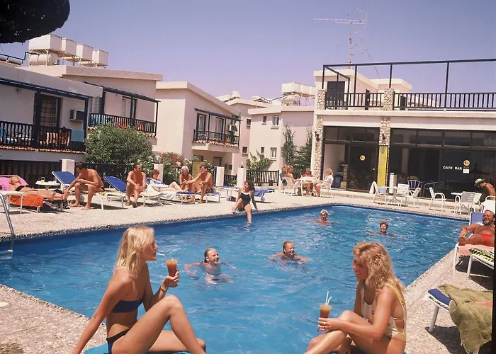 Aphelandra Ayia Napa